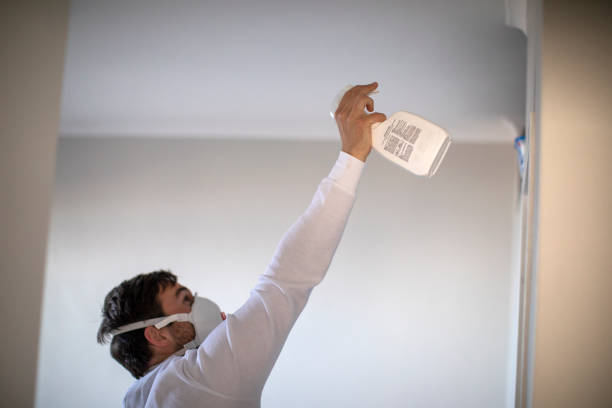 Best White Mold Remediation in Baywood, NY