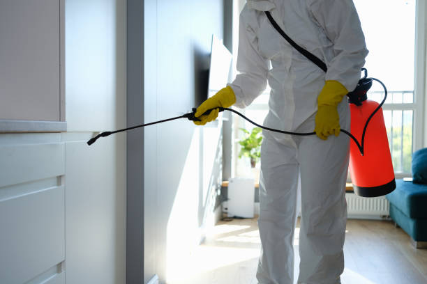 Professional Mold Remediation in Baywood, NY